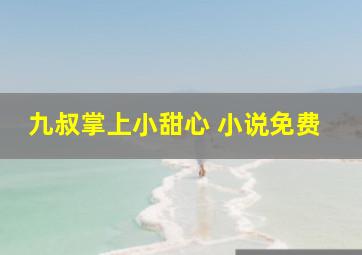 九叔掌上小甜心 小说免费